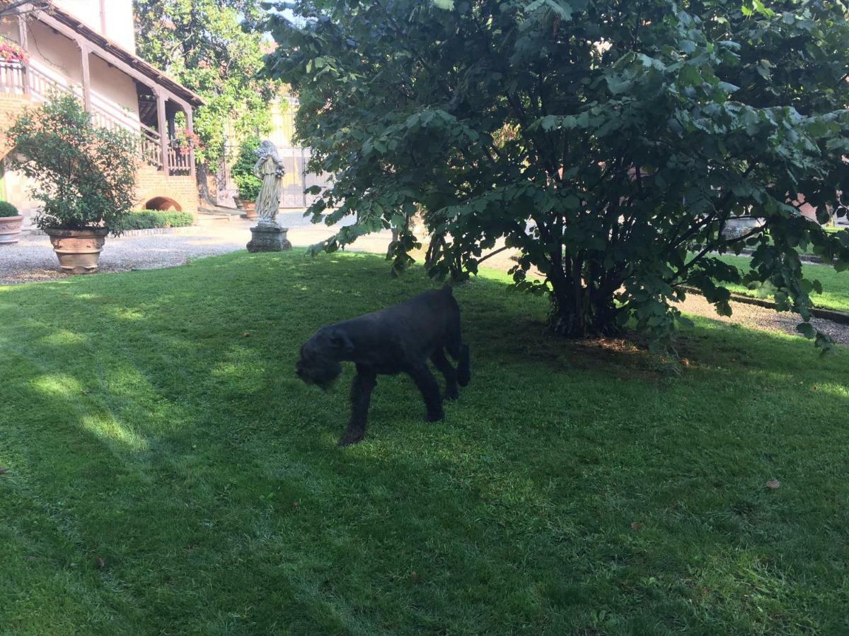 B&B San Martino Mede Dış mekan fotoğraf